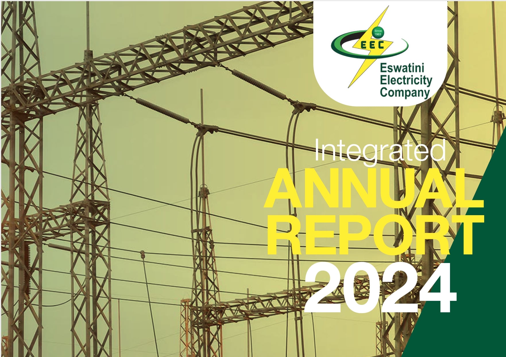 INTEGRATED ANNUAL REPORT 2024